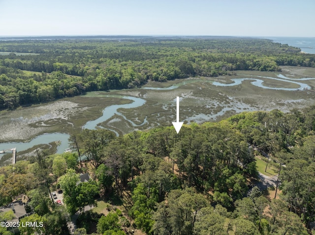 73 Bermuda Downs, Saint Helena Island, SC 29920 - photo 33