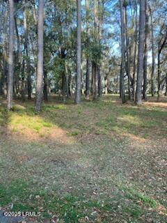 73 Bermuda Downs, Saint Helena Island, SC 29920 - photo 20