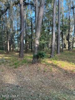 73 Bermuda Downs, Saint Helena Island, SC 29920 - photo 21