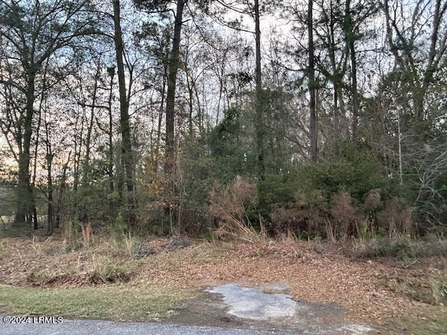 TBD Paynesville Rd, Hardeeville SC, 29927 land for sale