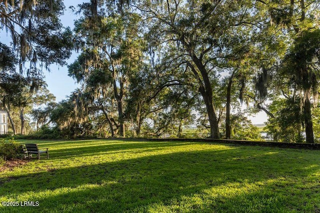 25 Newpoint Rd, Beaufort, SC 29907 - photo 10