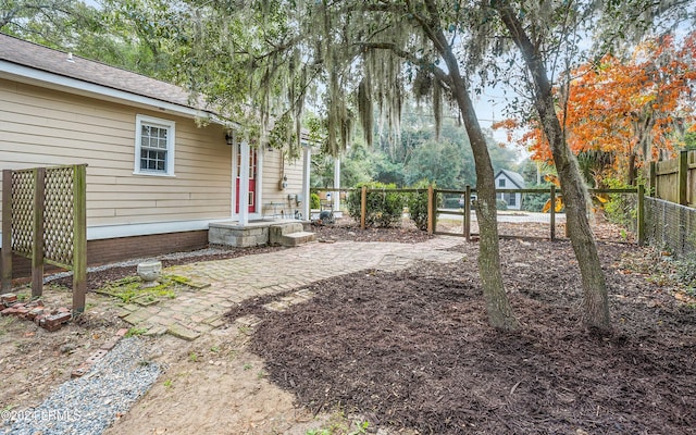 view of yard featuring a patio area