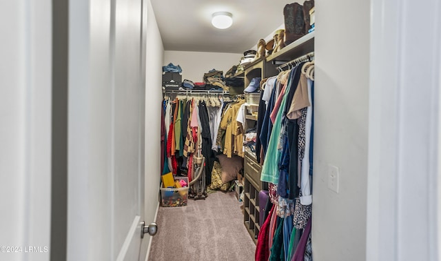 walk in closet featuring carpet