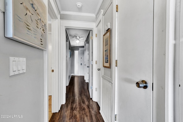 hall with crown molding and dark wood-type flooring