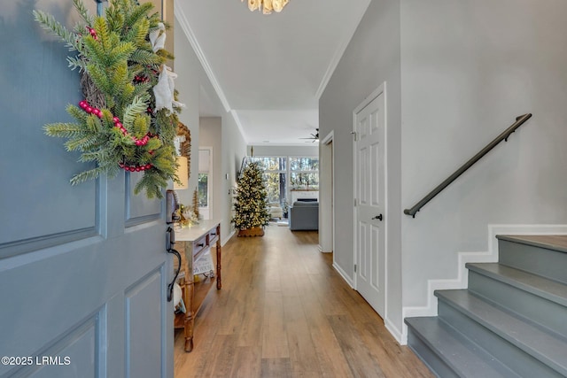 entryway with crown molding and light hardwood / wood-style flooring