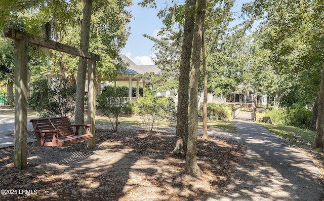 10 Rockville Way, Beaufort, SC 29902 - view of community