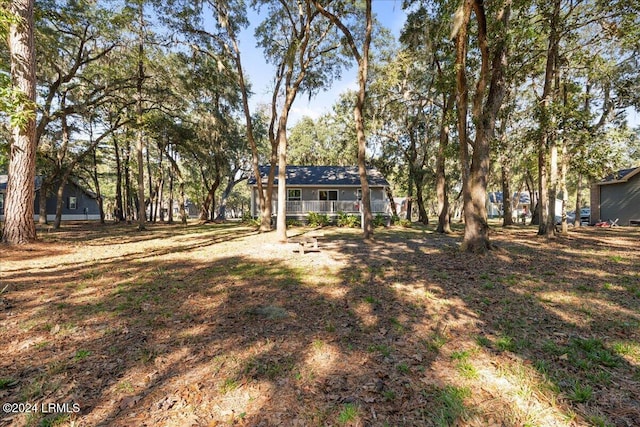 view of yard featuring covered porch