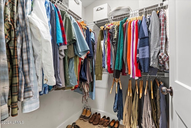 view of spacious closet