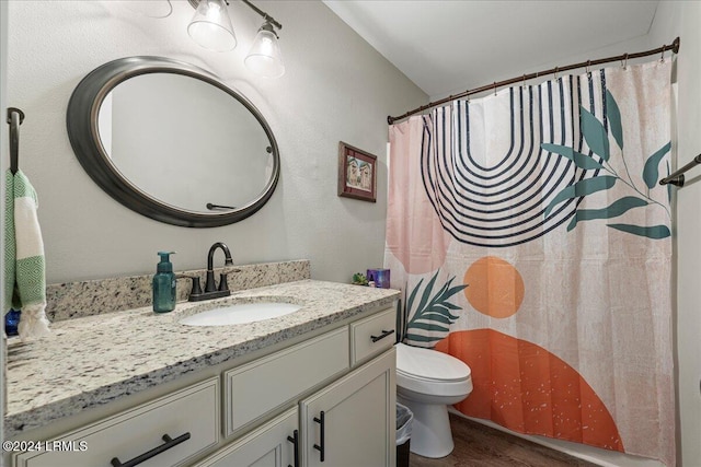 bathroom with vanity, wood-type flooring, and toilet