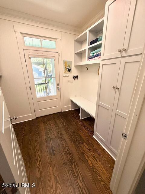 10 Hayek St, Beaufort, SC 29907 - mudroom featuring dark wood finished floors and crown molding