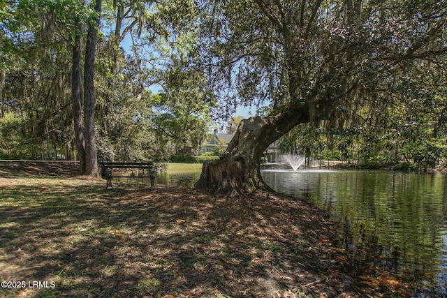 10 Hayek St, Beaufort, SC 29907 - view of yard with a water view