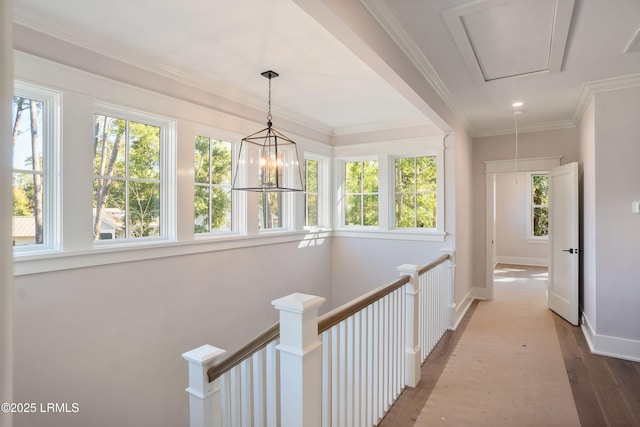 hallway with hardwood / wood-style floors and ornamental molding