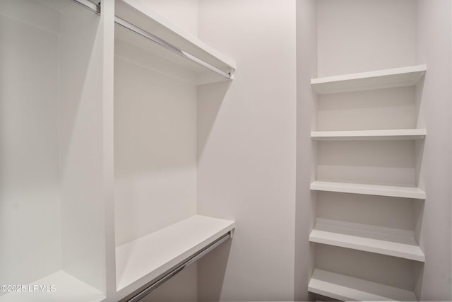 view of spacious closet