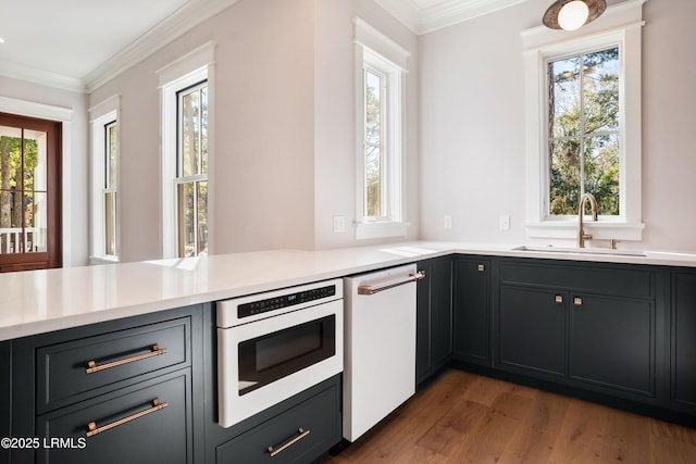 kitchen featuring sink, dishwasher, and a healthy amount of sunlight