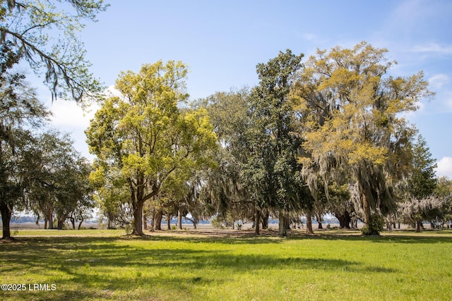 view of property's community with a lawn