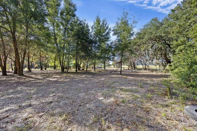 17 Earline Dr, Saint Helena Island, SC 29920 - photo 8
