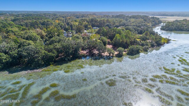 17 Earline Dr, Saint Helena Island, SC 29920 - photo 6