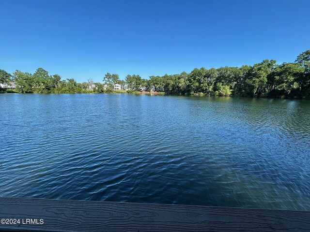32 Middle Island St, Beaufort, SC 29907 - photo 27
