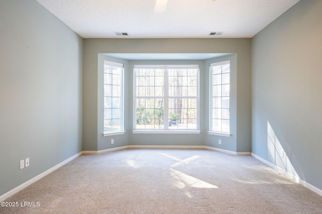 unfurnished room with light colored carpet and a textured ceiling