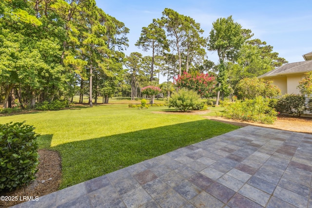 284 Berwick Dr, Hilton Head Island, SC 29926 - photo 75