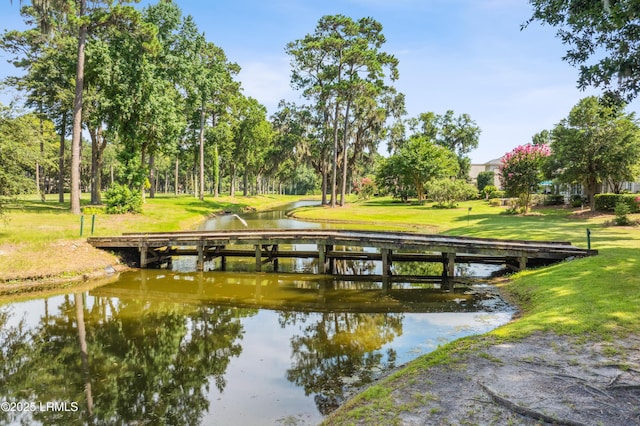 284 Berwick Dr, Hilton Head Island, SC 29926 - photo 78