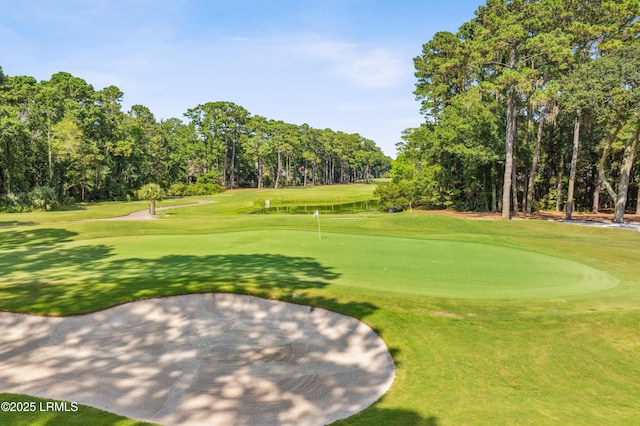 284 Berwick Dr, Hilton Head Island, SC 29926 - photo 80