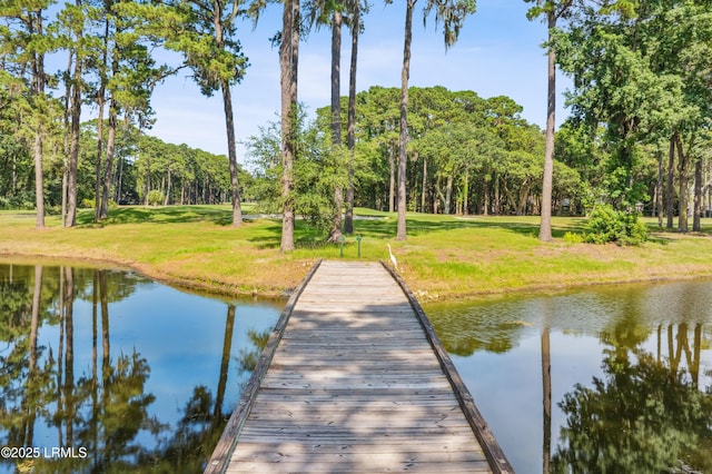 284 Berwick Dr, Hilton Head Island, SC 29926 - photo 79