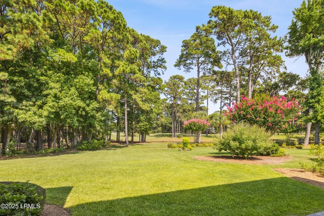 284 Berwick Dr, Hilton Head Island, SC 29926 - photo 76