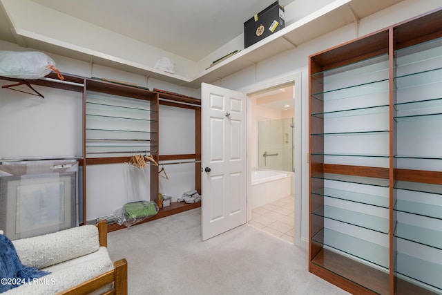 spacious closet with light carpet