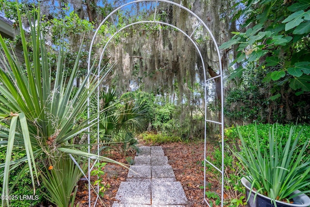 208 Cotton Dike Rd, Saint Helena Island, SC 29920 - view of yard