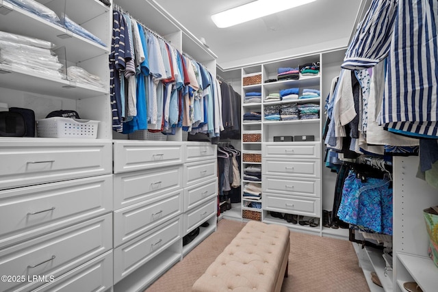 208 Cotton Dike Rd, Saint Helena Island, SC 29920 - view of spacious closet