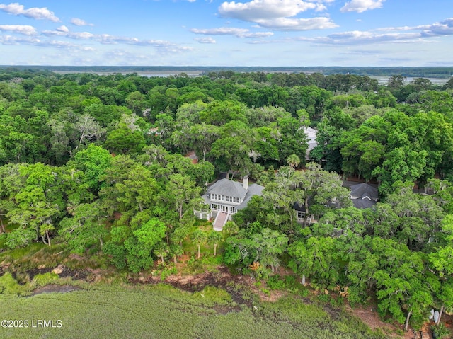 208 Cotton Dike Rd, Saint Helena Island, SC 29920 - aerial overview of property's location featuring a forest