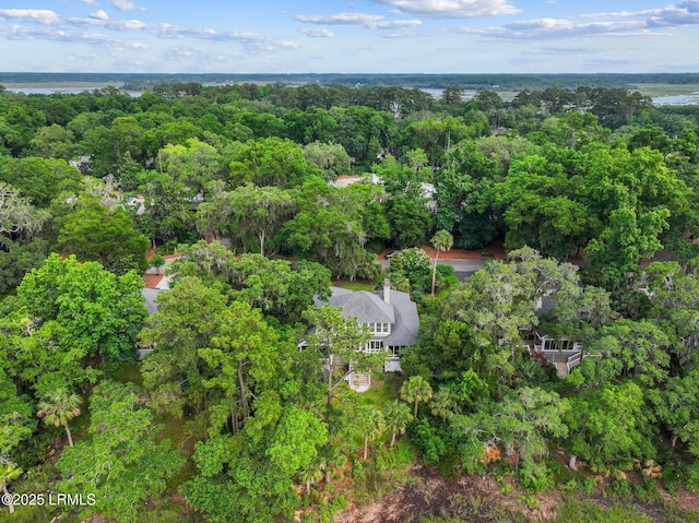 208 Cotton Dike Rd, Saint Helena Island, SC 29920 - aerial view of property's location with a heavily wooded area