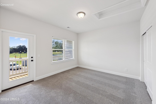 carpeted empty room featuring baseboards and a wealth of natural light