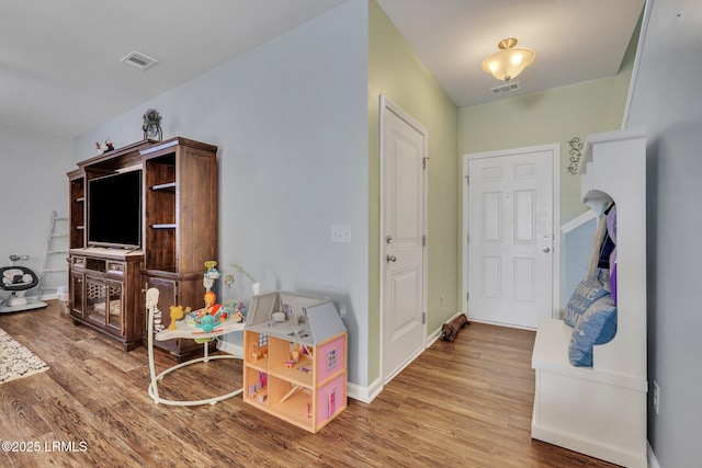 foyer with wood-type flooring