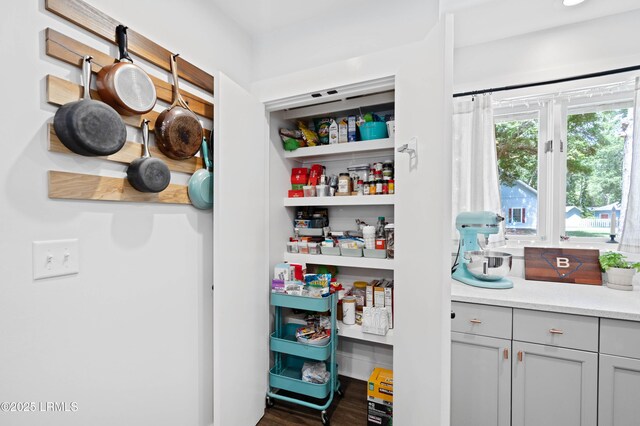 12 Harvest Ln, Beaufort, SC 29907 - view of pantry
