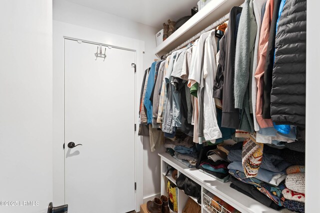 12 Harvest Ln, Beaufort, SC 29907 - view of walk in closet