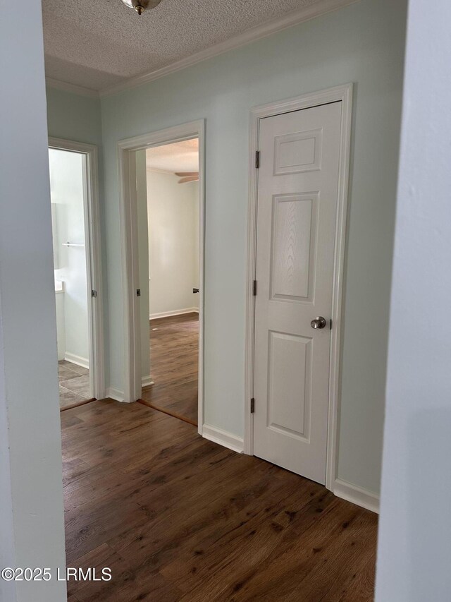2207 Morris St, Beaufort, SC 29902 - photo 7