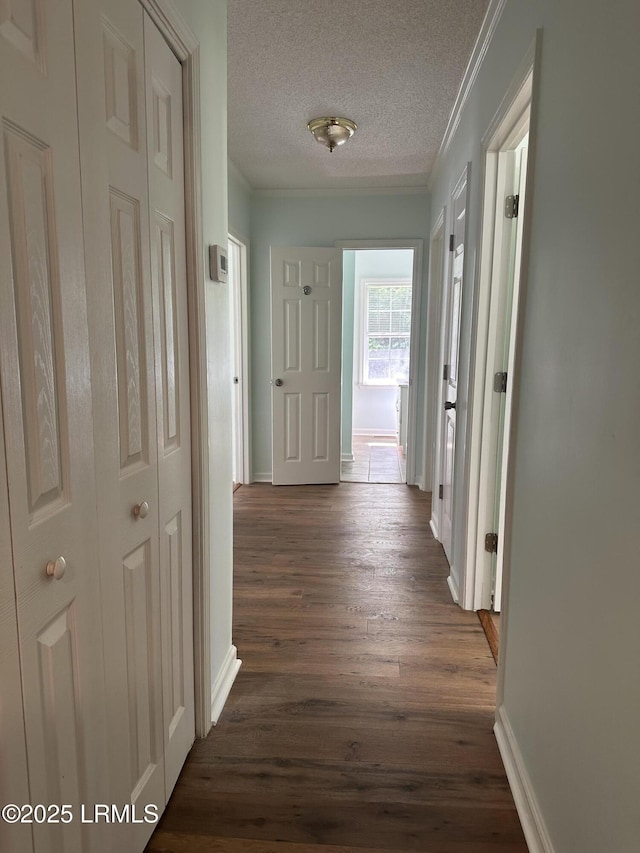 2207 Morris St, Beaufort, SC 29902 - photo 6