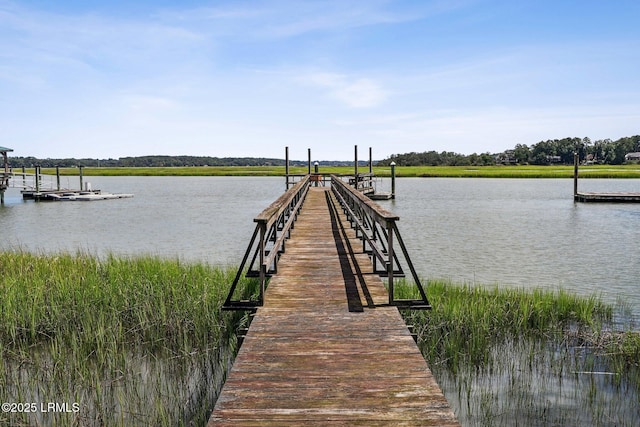 25 Petigru Dr, Beaufort, SC 29902 - photo 33