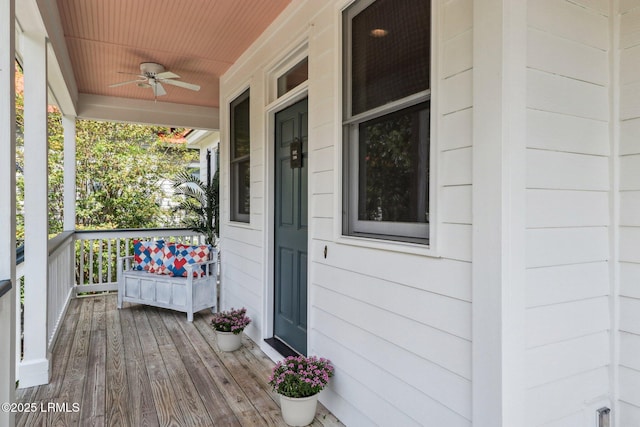 25 Petigru Dr, Beaufort, SC 29902 - photo 3