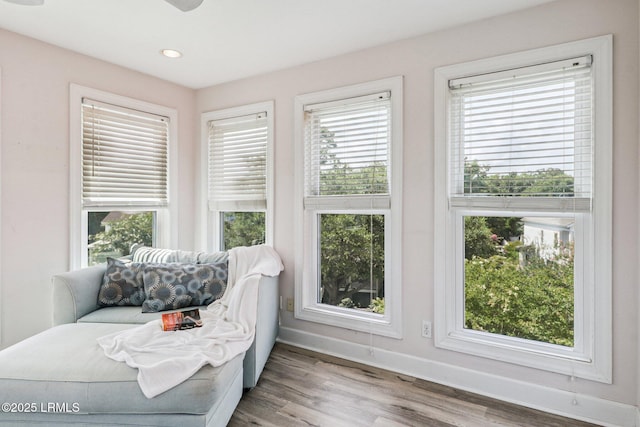 25 Petigru Dr, Beaufort, SC 29902 - photo 28