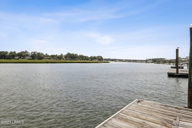 25 Petigru Dr, Beaufort, SC 29902 - photo 35
