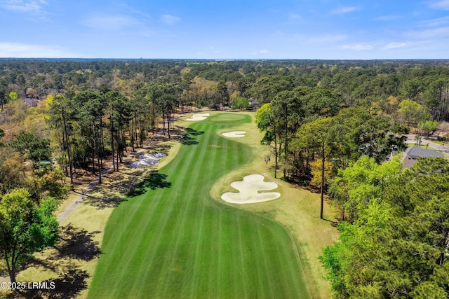 40 Sussex Ln, Hilton Head Island, SC 29926 - photo 45