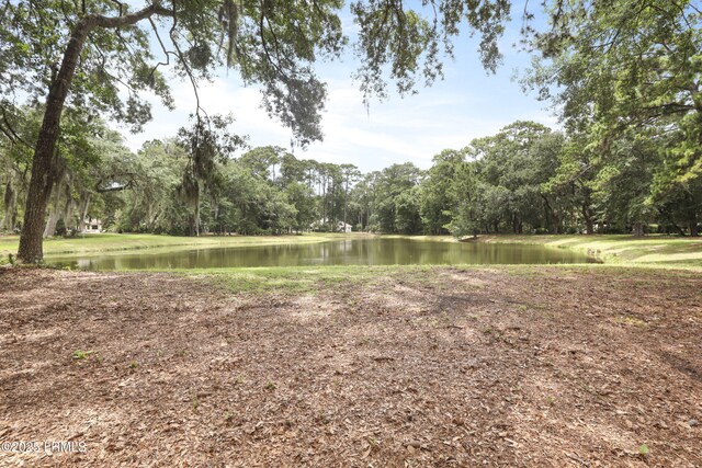 40 Sussex Ln, Hilton Head Island, SC 29926 - photo 41