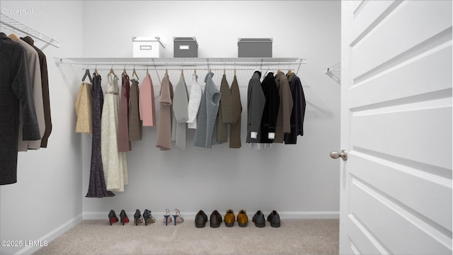 1533 Sanctum St, Ridgeland, SC 29936 - walk in closet featuring carpet