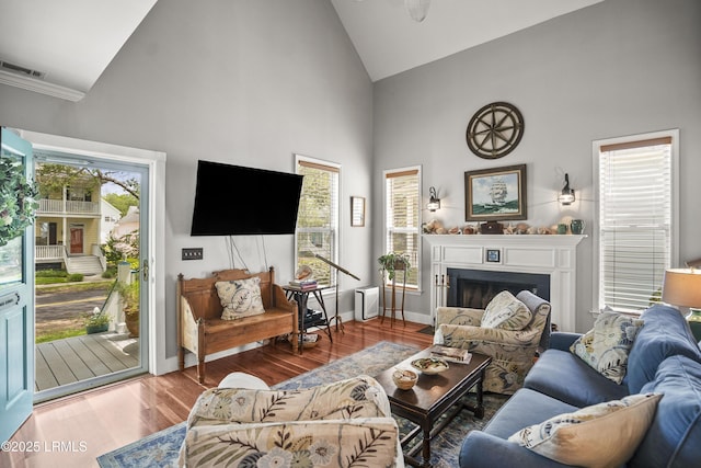 1009 9th St, Port Royal, SC 29935 - living room featuring high vaulted ceiling, wood finished floors, and a fireplace