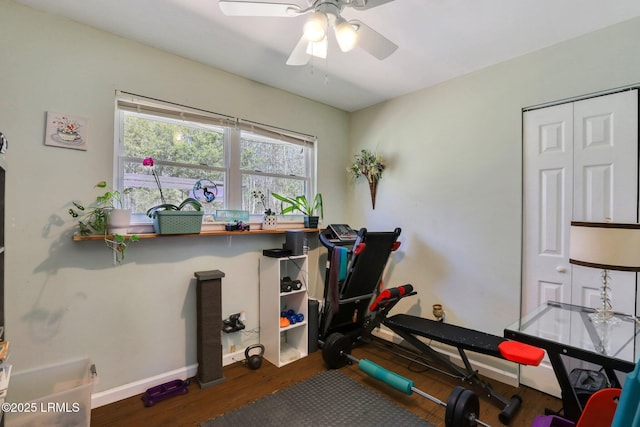 workout room with baseboards, ceiling fan, and wood finished floors