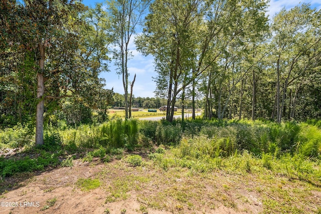 269 Broad River Blvd, Beaufort, SC 29906 - photo 30
