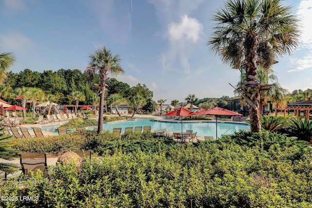 10 Anchor Bay Ct, Bluffton, SC 29910 - view of community pool